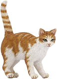 Red Cat