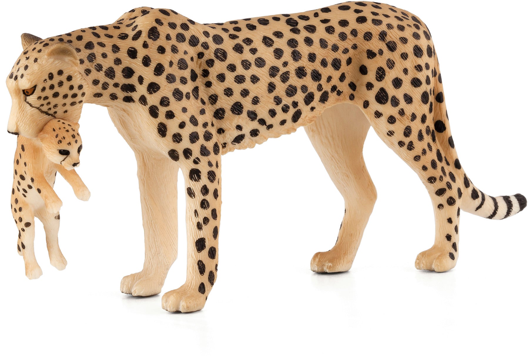 Cheetah Female w Cub