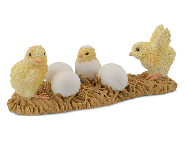 Hatching Chicks