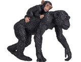 Chimpanzee with Baby 2020