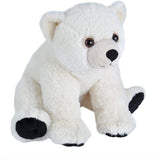 Baby Polar Bear CK