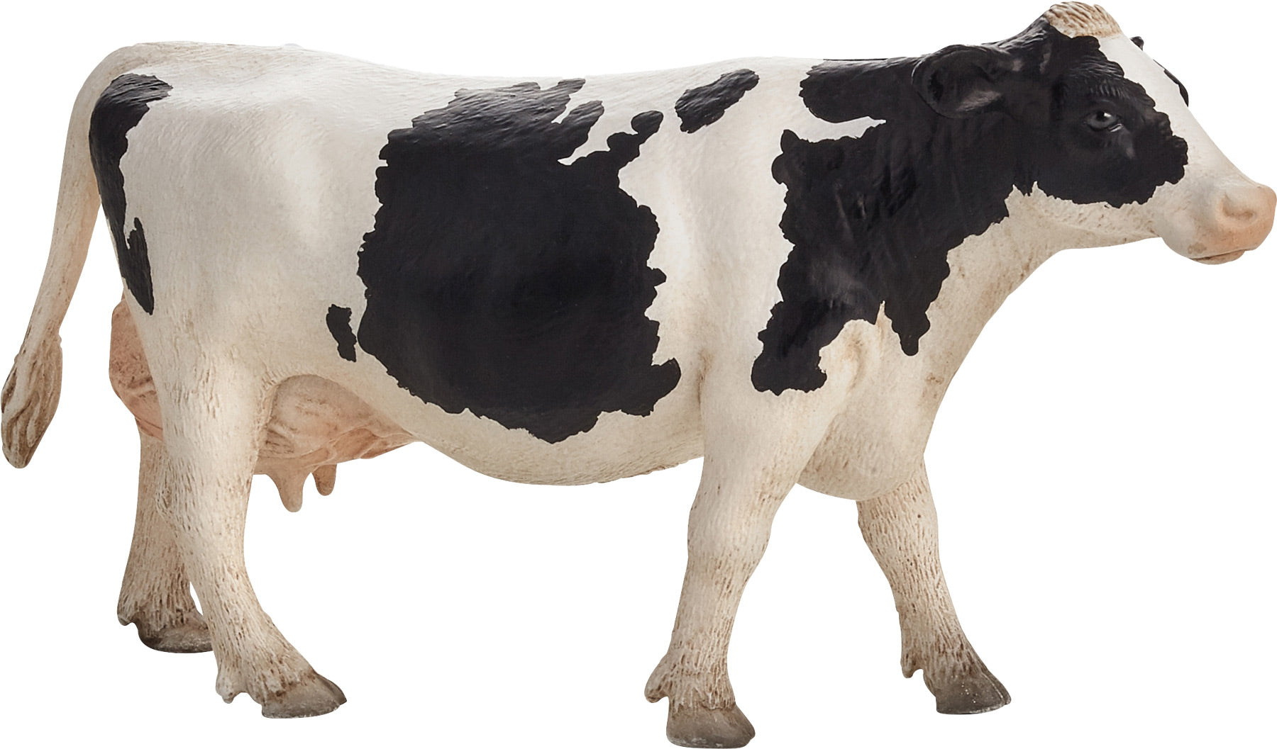 Holstien Cow
