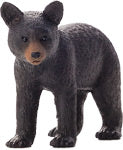 Black Bear Cub