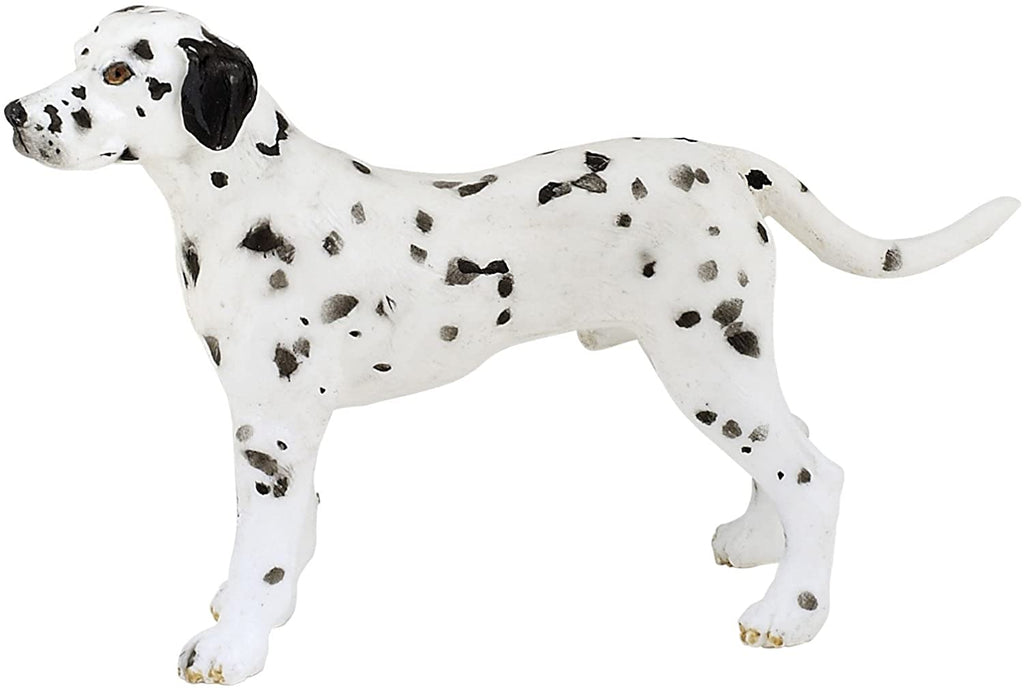 Dalmatian