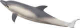 Dolphin Common