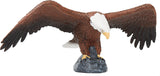 American Bald Eagle