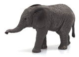 (Calf) African Elephant