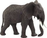 African Elephant