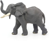 Trumpeting Elephant