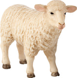 Sheep (Ewe)
