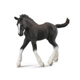 Black Shire Foal
