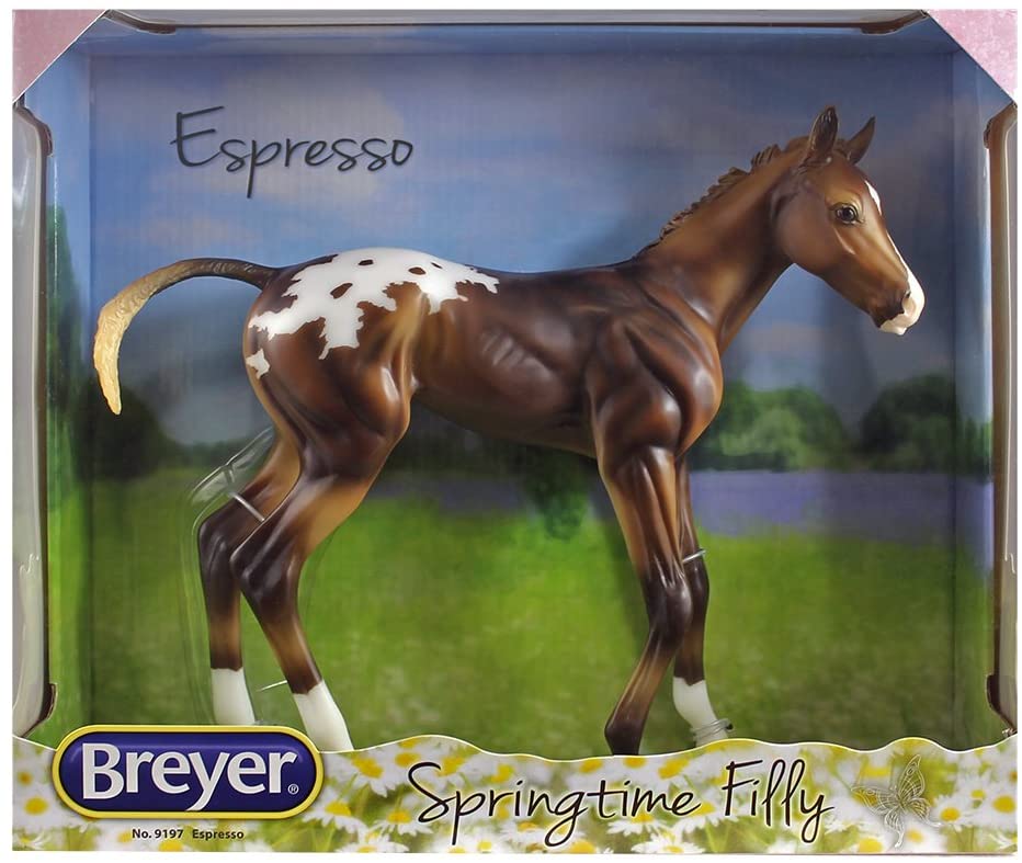 Espresso - Springtime Filly -10' Big Foa
