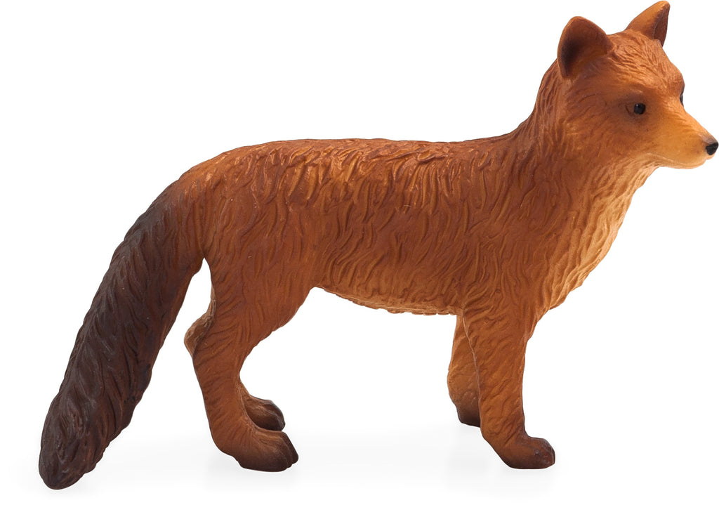 Red Fox