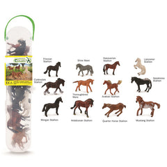 Mini Horses Collect A Box