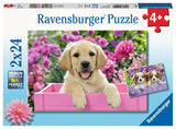 Me and My Pal 2 x 24 pc Puzzle