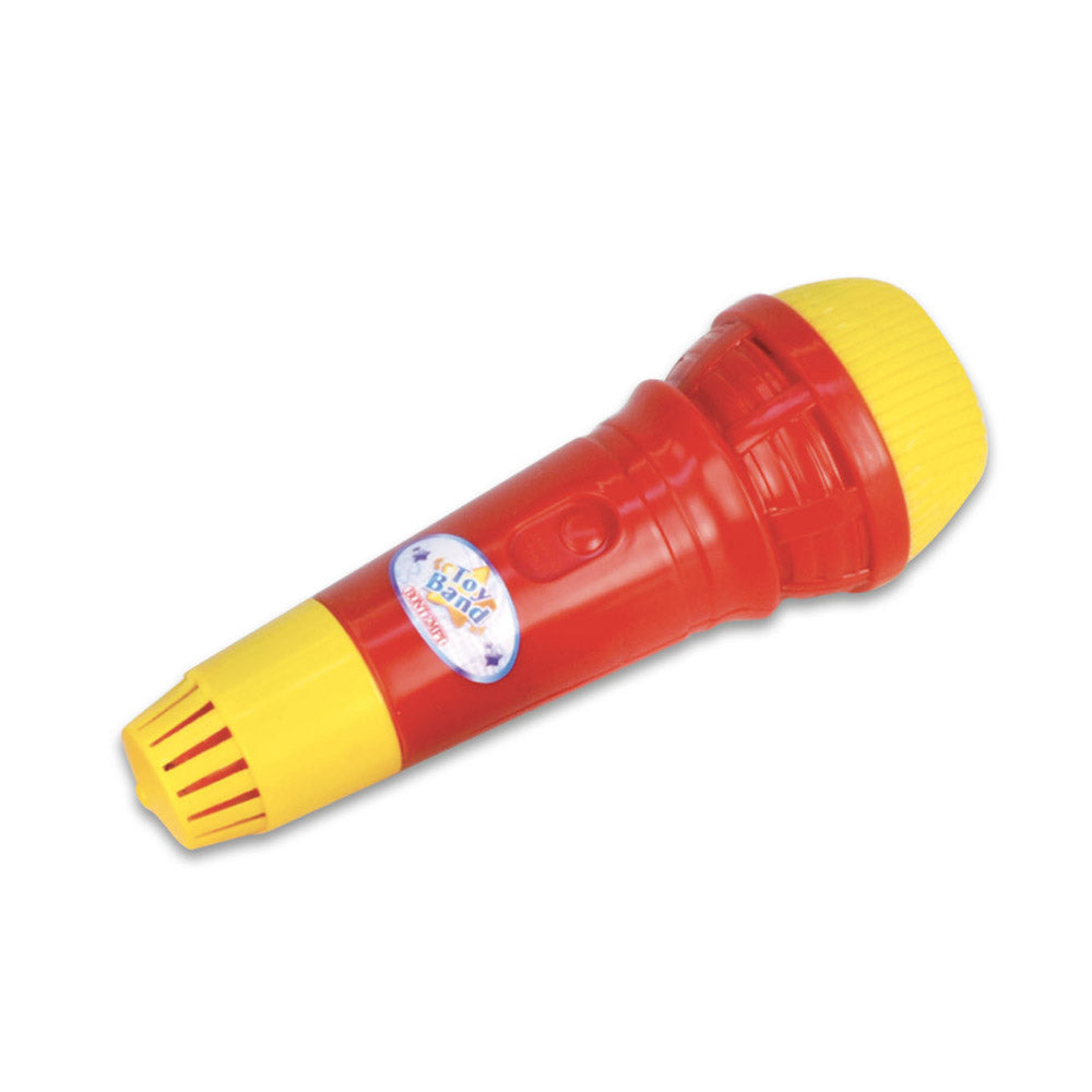 Echo Microphone