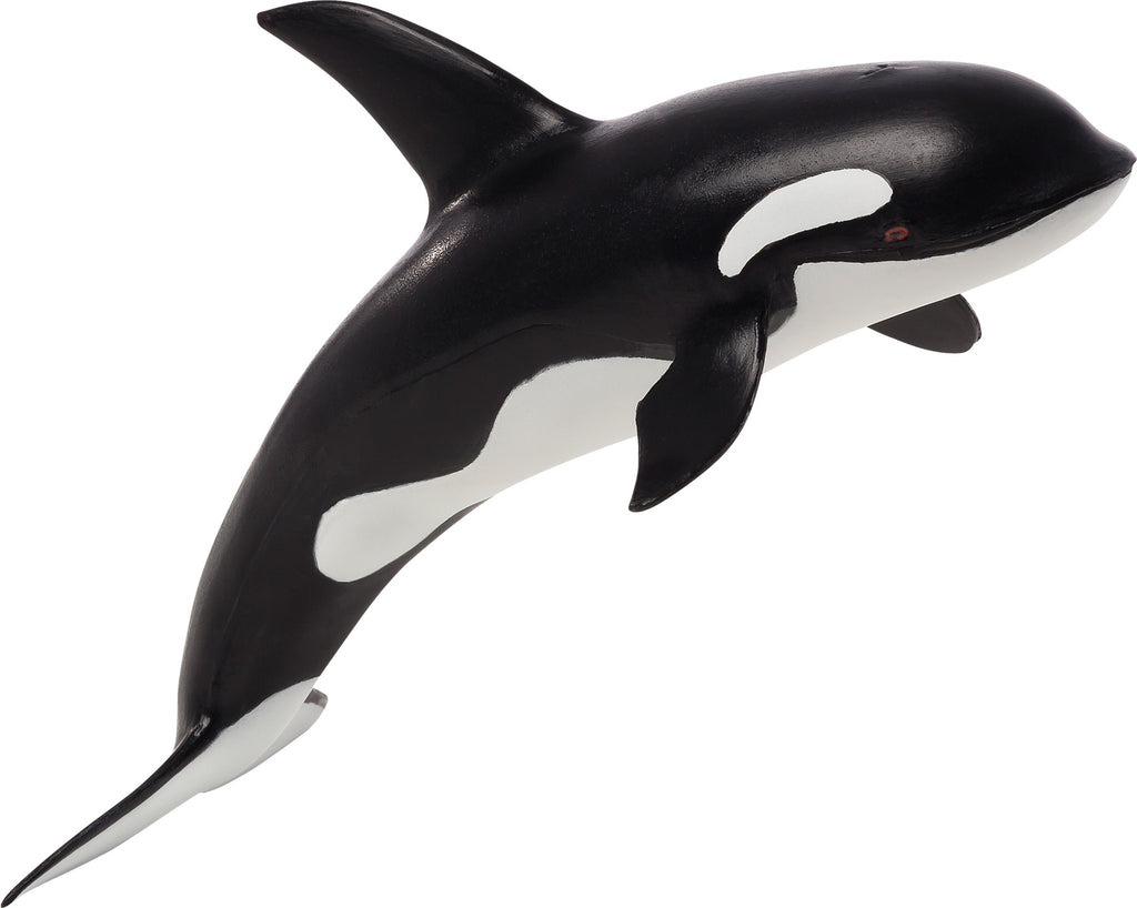Orca Large