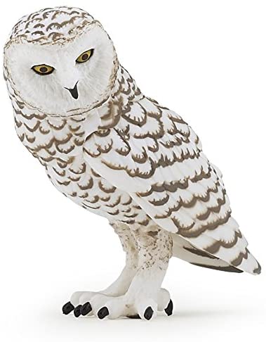 Snowy Owl