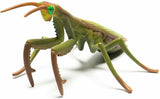 Praying Mantis