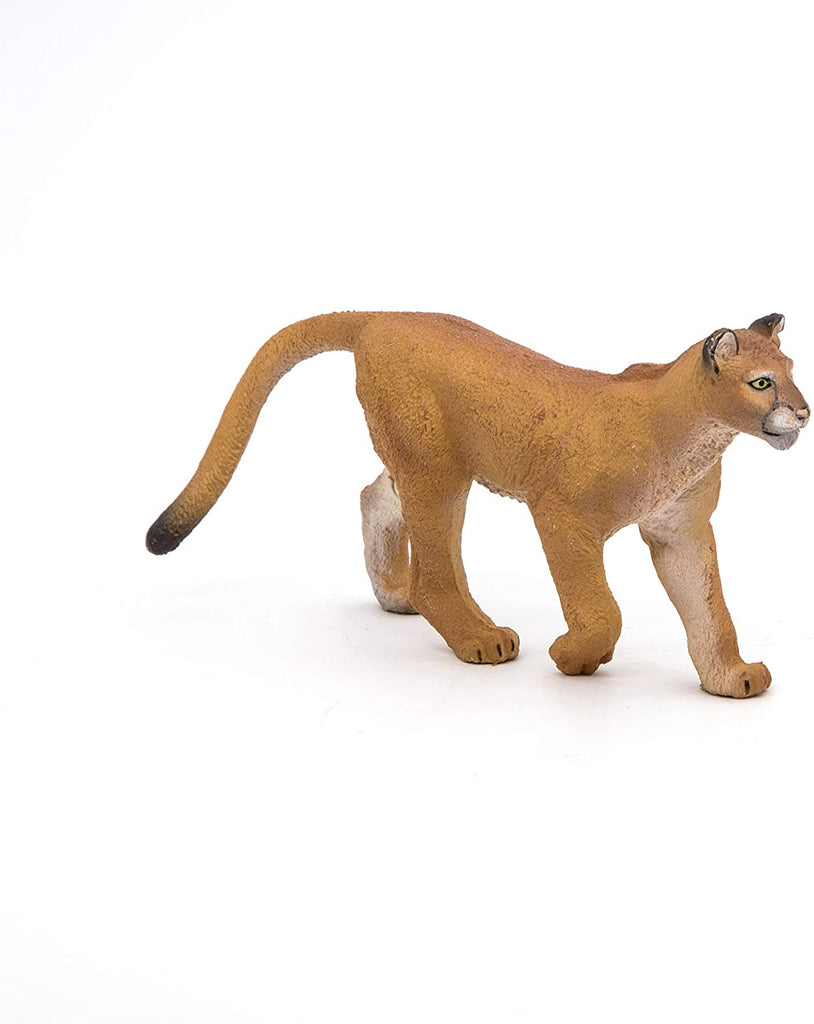 Puma