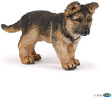 German Shepard Pup