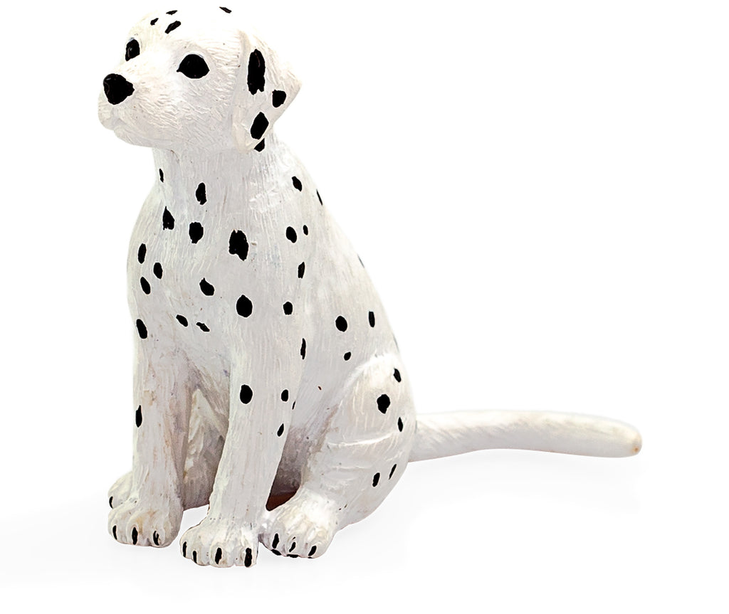 Dalmatian Puppy