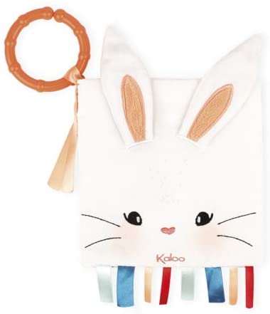 The Rabbit In Love - Activity Book