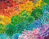 Succulent Rainbow- 1000 pc Puzzle