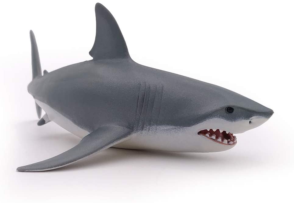 Shark, Great White