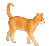 Cat Ginger Tabby