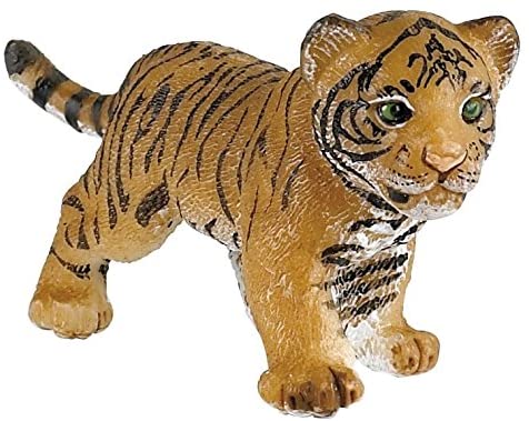 Tiger Cub