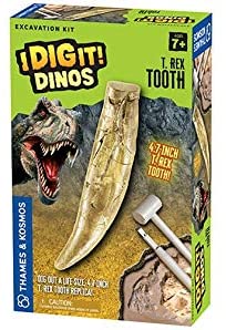 T. Rex Tooth Excavation Kit Dig It Dinos