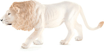 White Male Lion