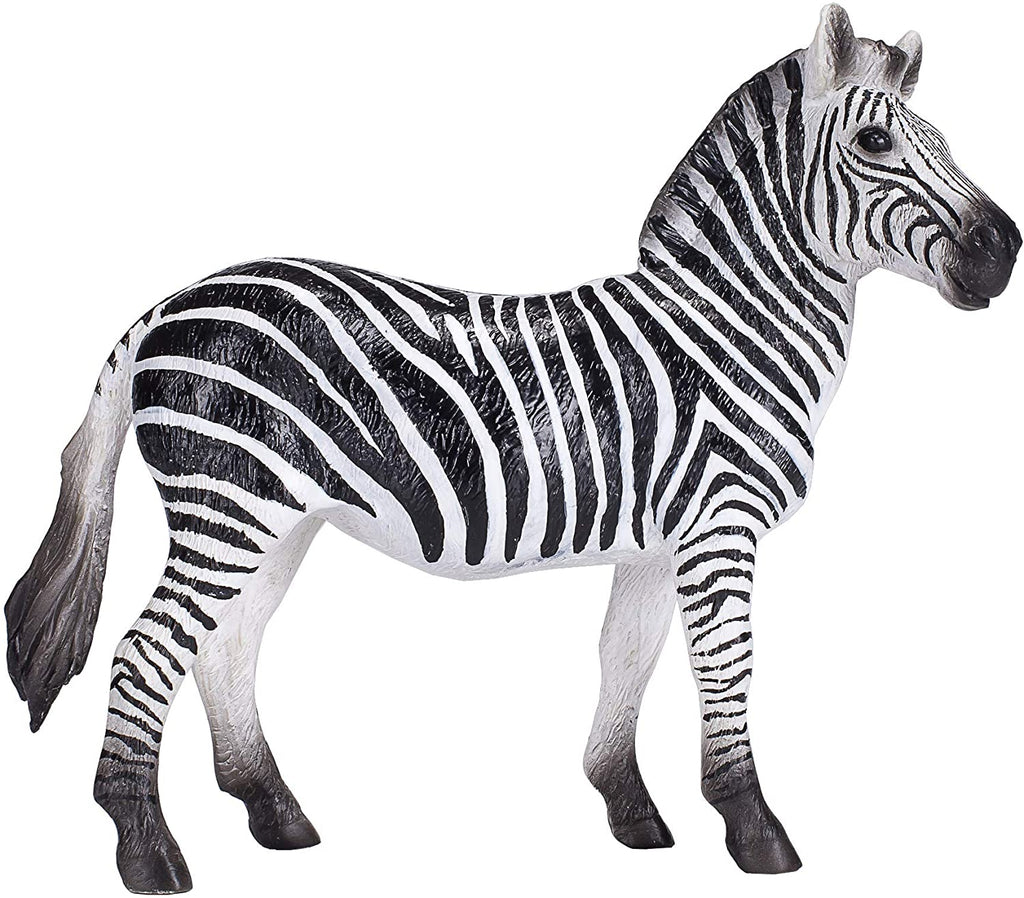 Zebra Mare